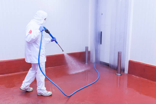 Best House Exterior Washing  in St Marys, GA